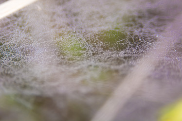 Similar image 21814958