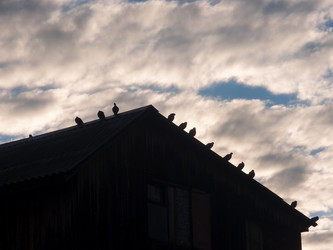 Similar image 21814654