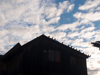 Similar image 21814656