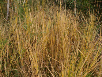 Similar image 21814664