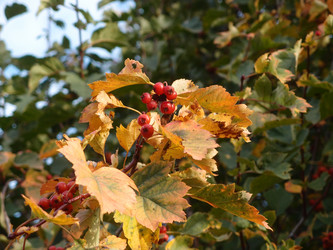 Similar image 21814665