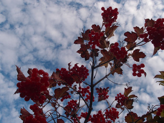 Similar image 21814666