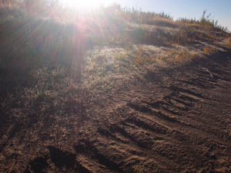 Similar image 21814681