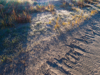 Similar image 21814682