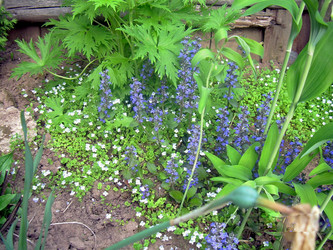 Similar image 21815073