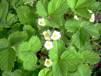 Similar image 21815074