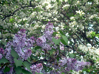 Similar image 21815075