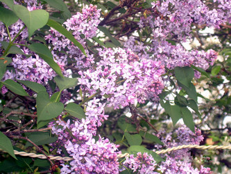 Similar image 21815076