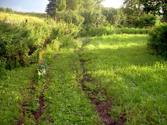 Similar image 21815080