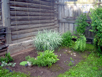 Similar image 21815081