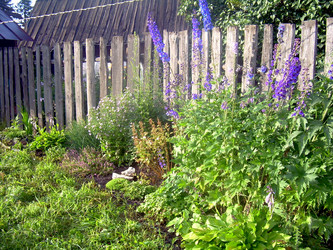 Similar image 21815085