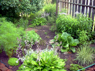 Similar image 21815086