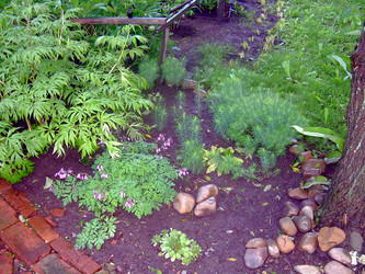 Similar image 21815088