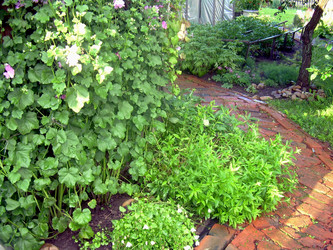 Similar image 21815089