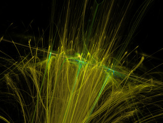 Similar image 21817752