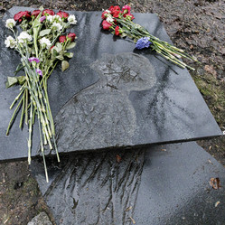 Similar image 21816594