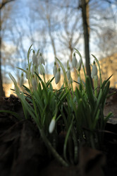 Similar image 21814713