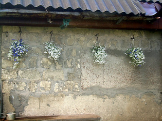 Similar image 21815092