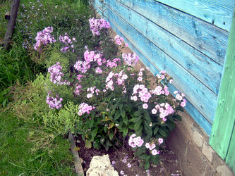 Similar image 21815094