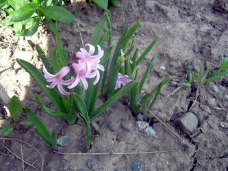 Similar image 21815098