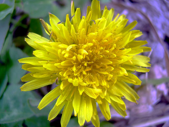 Similar image 21815099