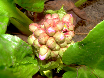 Similar image 21815100