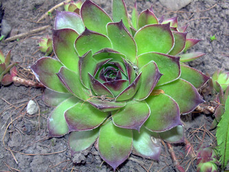 Similar image 21815101