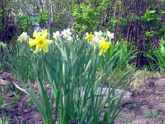 Similar image 21815102