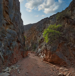 Similar image 21816172