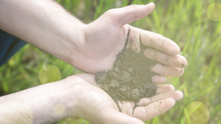 Similar image 21815213