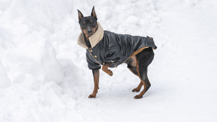 Similar image 21815226