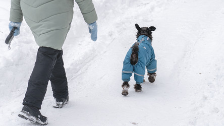 Similar image 21815232