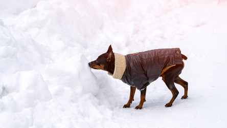 Similar image 21815235