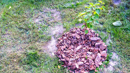 Similar image 21815245