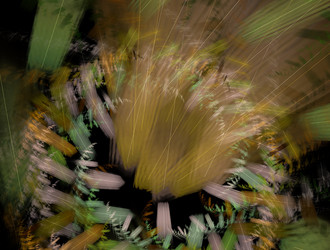 Similar image 21821604