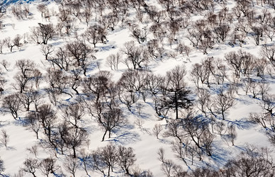 Similar image 21819345