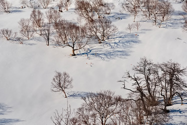 Similar image 21819346