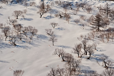 Similar image 21819348