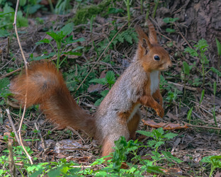 Similar image 21815742