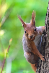 Similar image 21815744