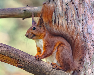 Similar image 21815745