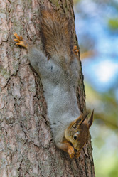 Similar image 21815746