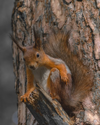 Similar image 21815747