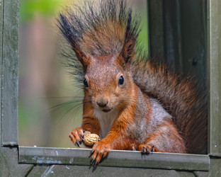 Similar image 21815748