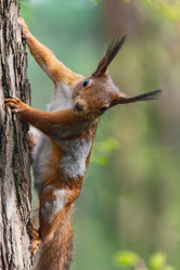 Similar image 21815749