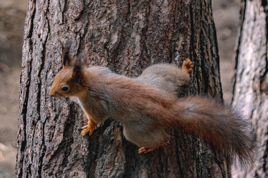 Similar image 21815750