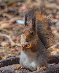 Similar image 21815751