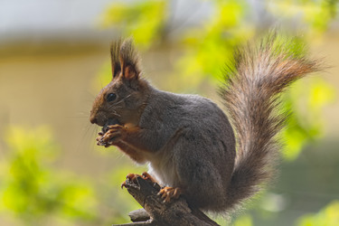 Similar image 21815752