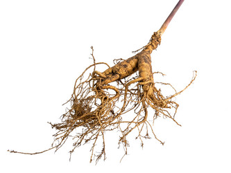 Similar image 21815757