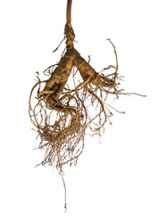 Similar image 21815759